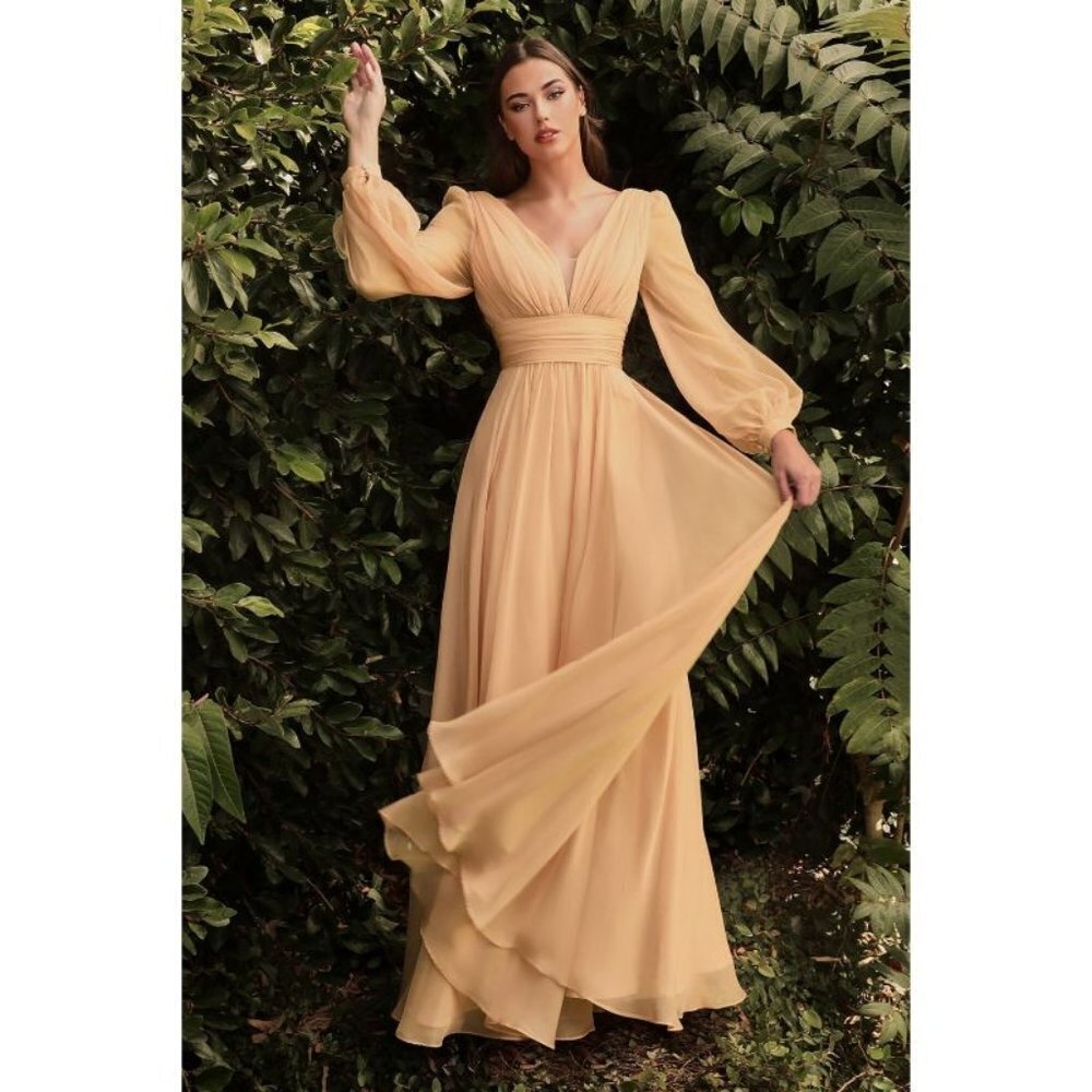 N/A Cinderella LONG SLEEVE CHIFFON DRESS MultiSizes CD0192